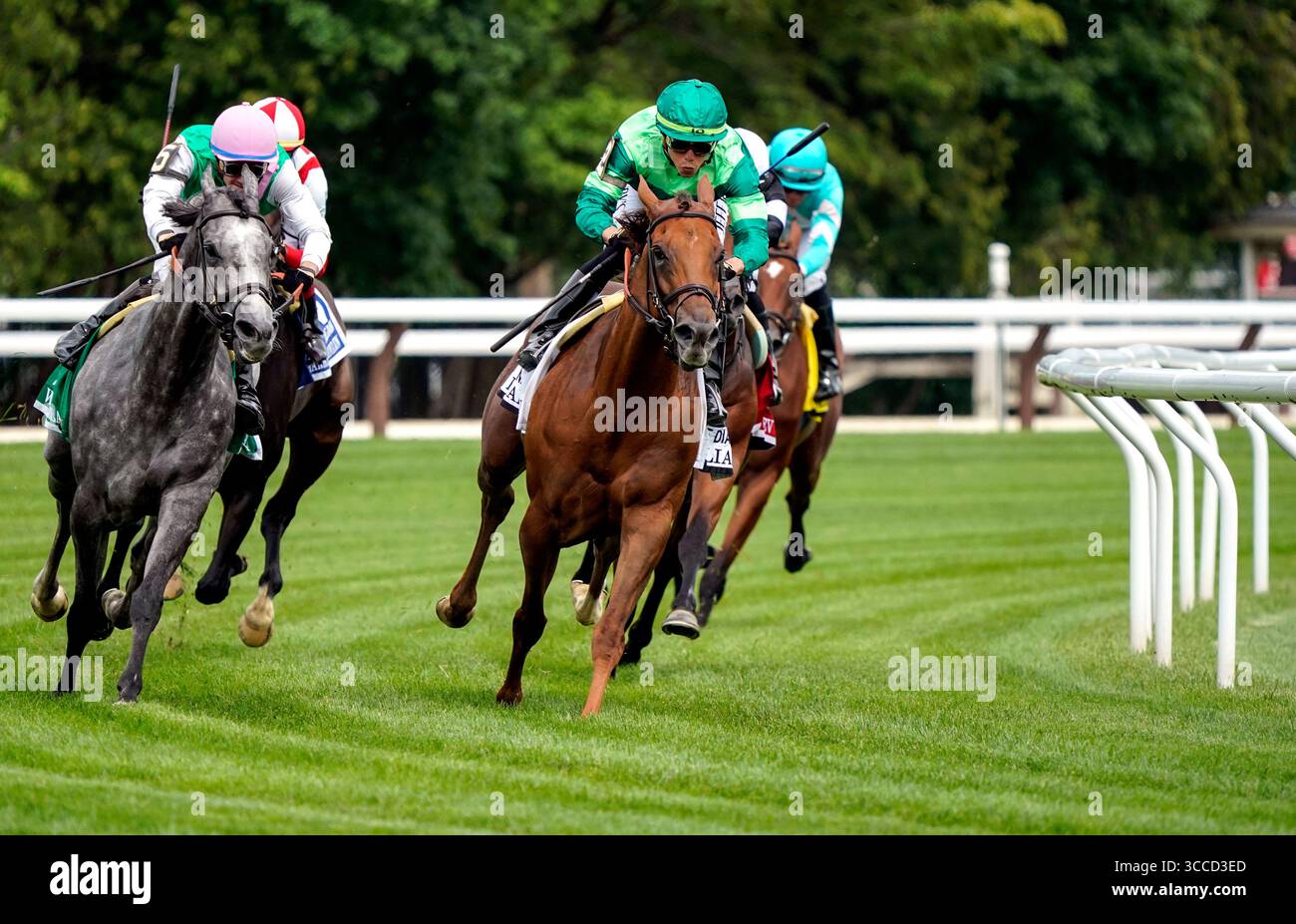 15 luglio 2023, Saratoga Springs, New York, USA: Whitebeam (GB) (5) guidata da Flavien Prat vince la Diana Stakes (Grade 1) al circuito di Saratoga nel Diana Stakes Day a Saratoga Springs, N.Y. il 15 luglio 2023. Dan Heary/Eclipse Sportswire/CSM (Credit Image: © Dan Hearyeclipse Sportswire/CSM/CSM via ZUMA Press) Foto Stock