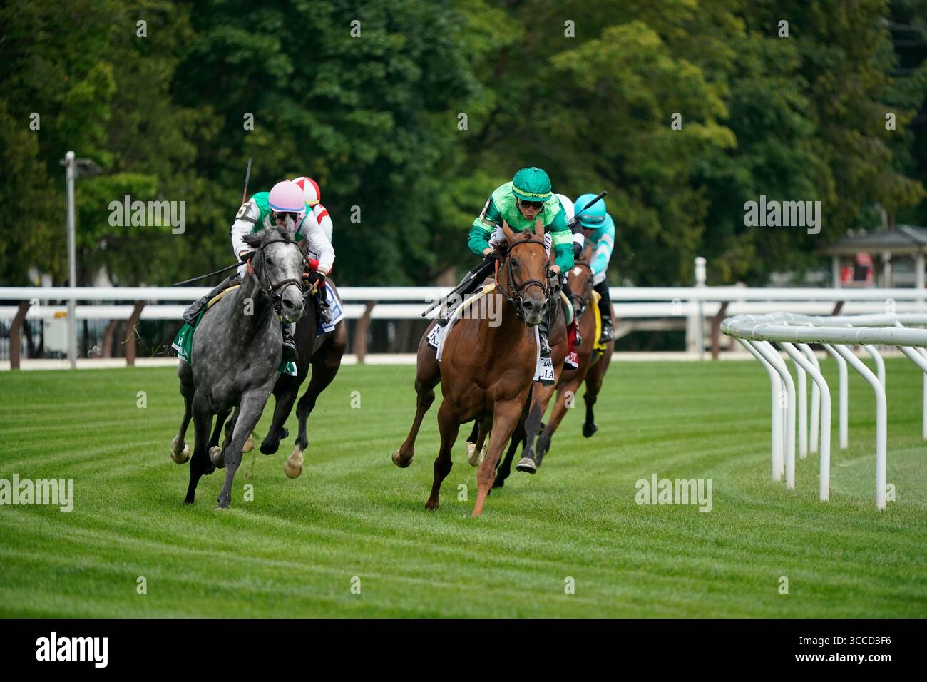15 luglio 2023, Saratoga Springs, New York, USA: Whitebeam (GB) (5) guidata da Flavien Prat vince la Diana Stakes (Grade 1) al circuito di Saratoga nel Diana Stakes Day a Saratoga Springs, N.Y. il 15 luglio 2023. Dan Heary/Eclipse Sportswire/CSM (Credit Image: © Dan Hearyeclipse Sportswire/CSM/CSM via ZUMA Press) Foto Stock