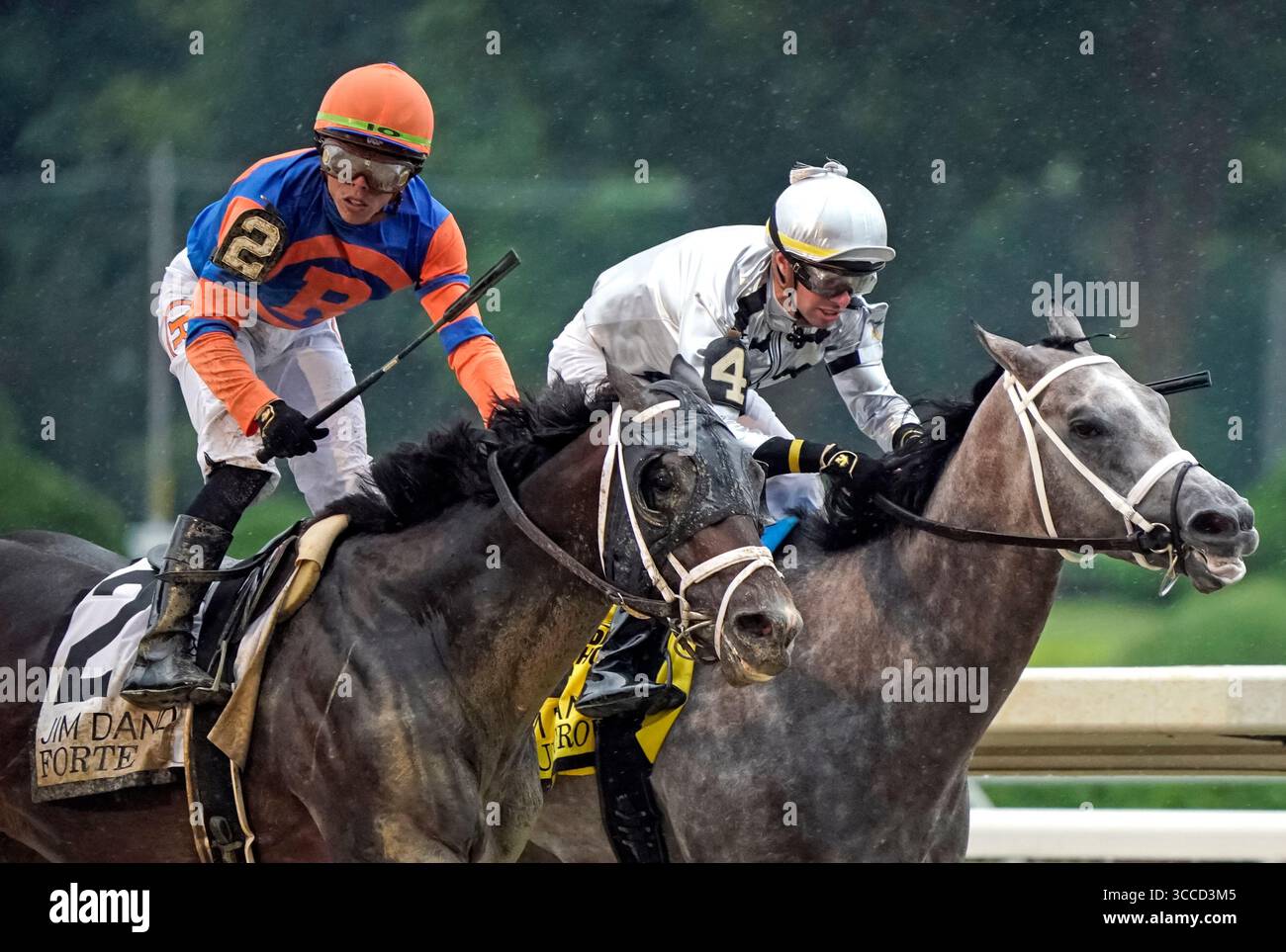 29 luglio 2023, Saratoga Springs, New York, USA: Forte (2) guidato da Irad Ortiz Jr. Vince il Jim Dandy Stakes (Grade 2) al Saratoga Race Course di Saratoga Springs, New York il 29 luglio 2023. Dan Heary/Eclipse Sportswire/CSM (immagine di credito: Foto Stock