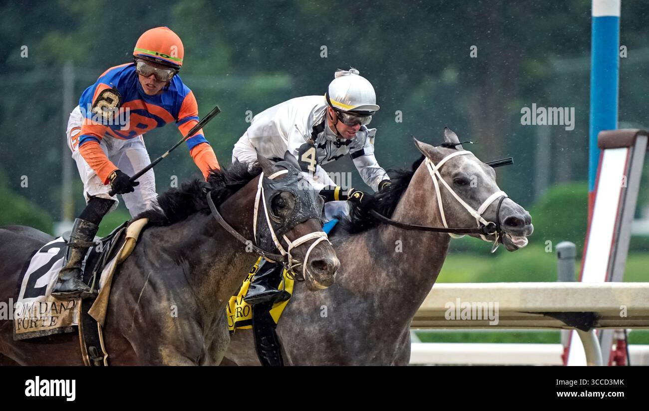 29 luglio 2023, Saratoga Springs, New York, USA: Forte (2) guidato da Irad Ortiz Jr. Vince il Jim Dandy Stakes (Grade 2) al Saratoga Race Course di Saratoga Springs, New York il 29 luglio 2023. Dan Heary/Eclipse Sportswire/CSM (immagine di credito: Foto Stock