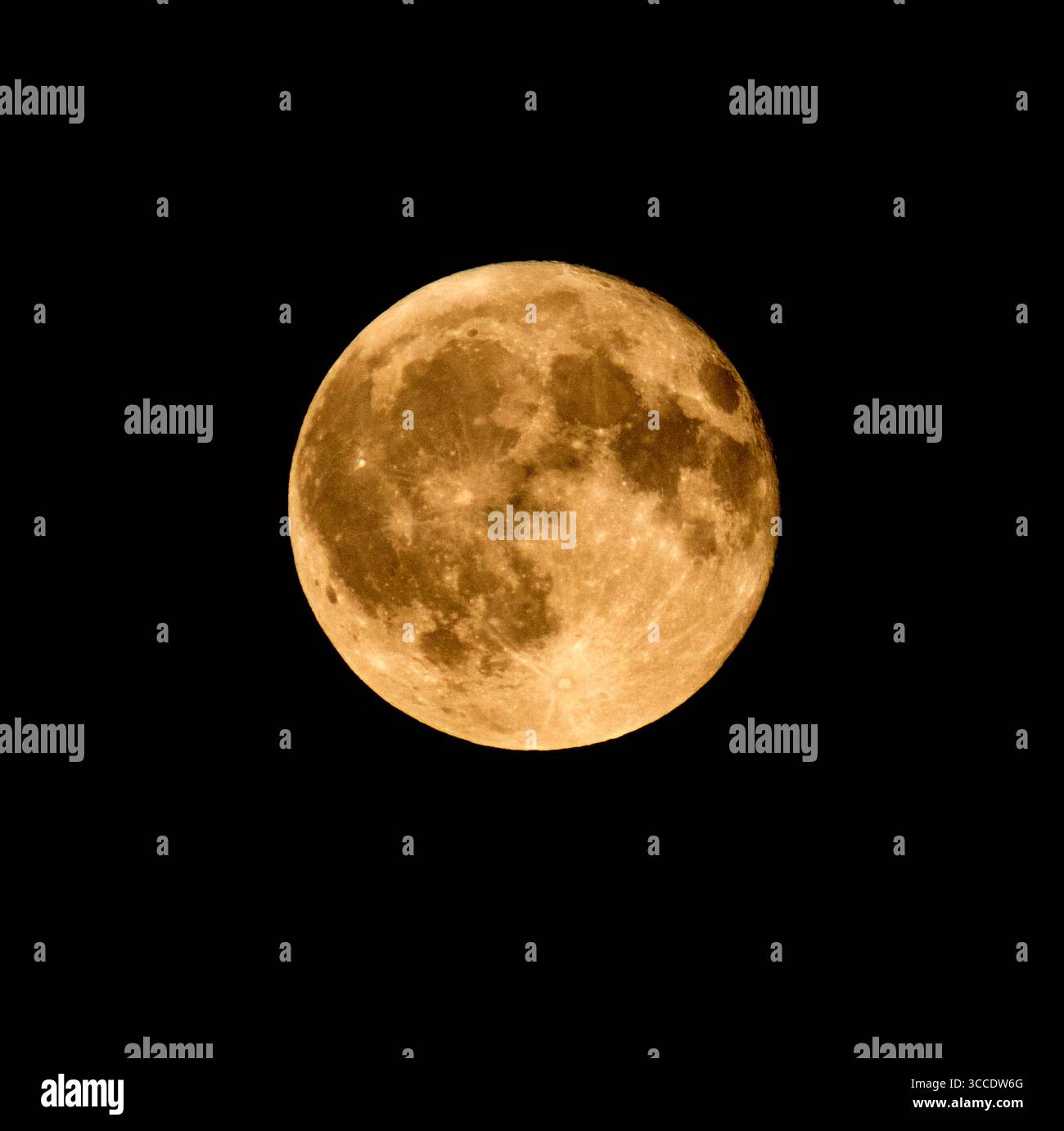 Sturgeon Moon AS seen Essex England agosto 2025 Foto Stock