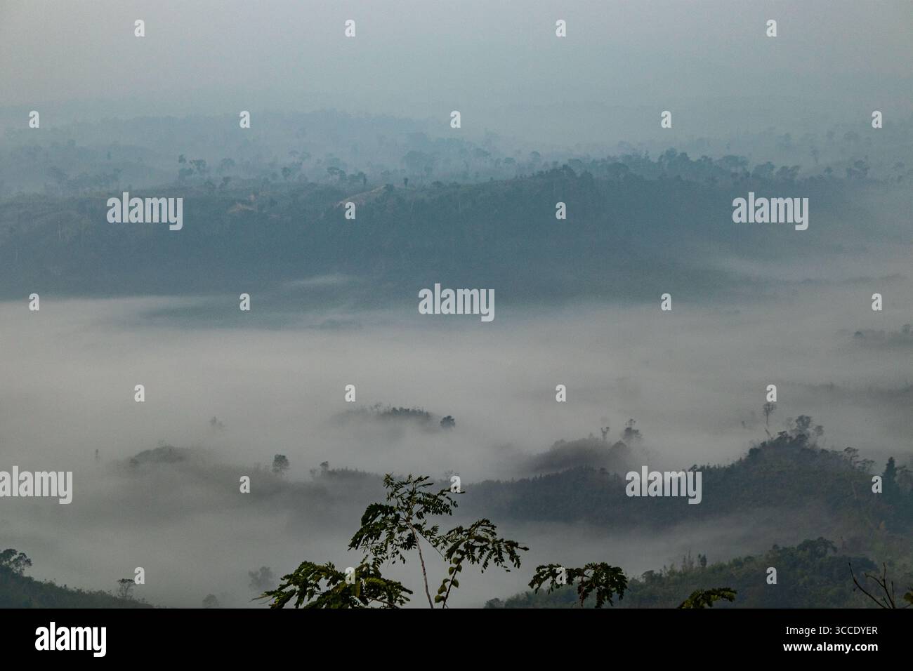 Copertura di nuvole monsoniche sulla valle di Sajek Foto Stock