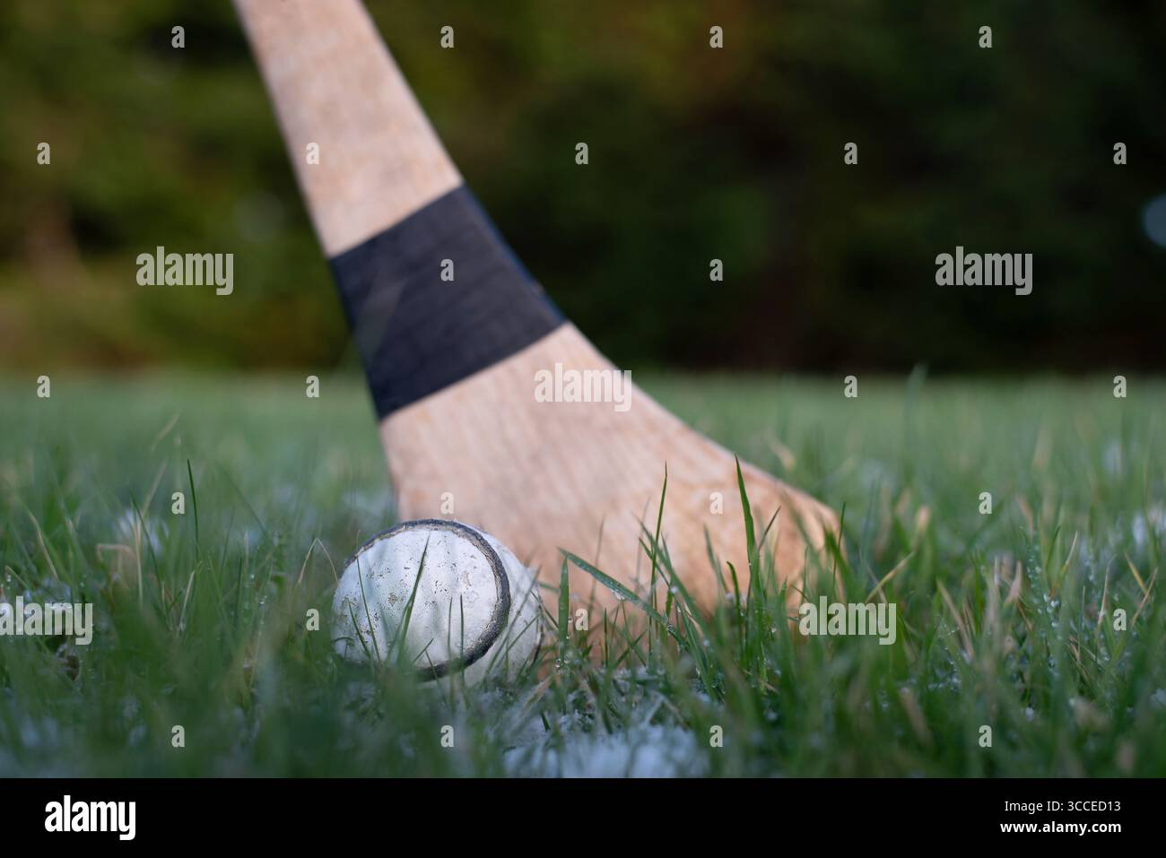 Un hurley e uno sliotar poggiano sull'erba verde, simboleggiando lo sport tradizionale irlandese dell'hurling e il suo significato culturale Foto Stock