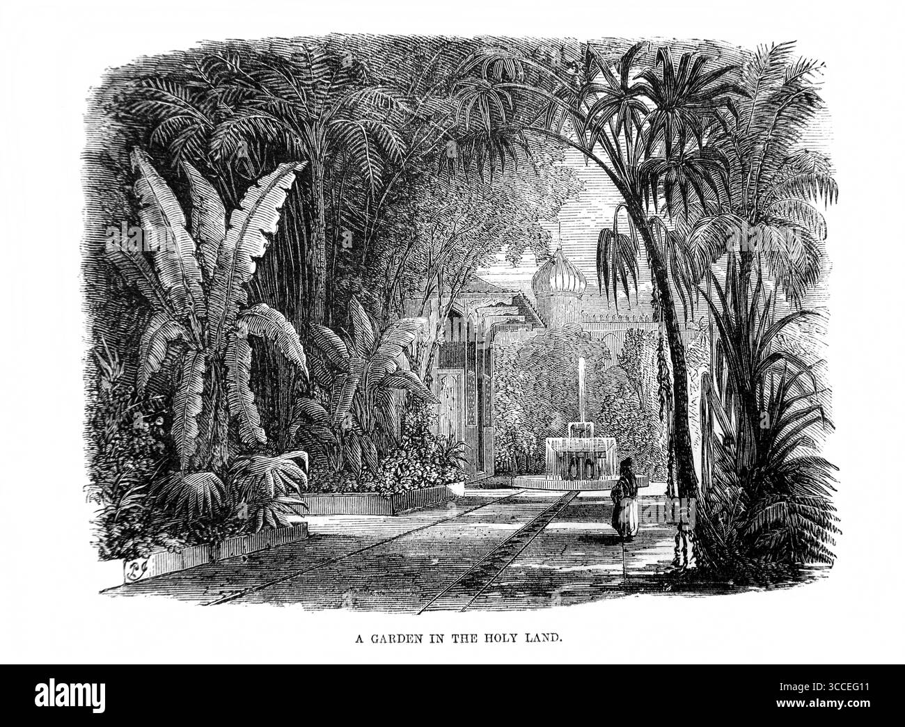 Illustrazione di un Giardino in Terra Santa (Cantici di Salomone) dell'Antico XIX secolo la Sacra Bibbia contenente l'Antico e il nuovo Testamento con Expla Foto Stock