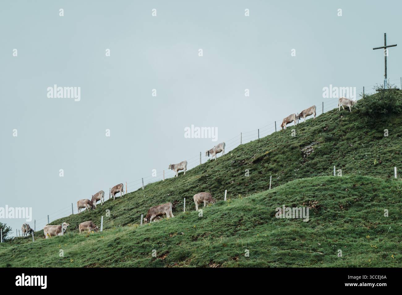 Croce di vetta su una cresta erbosa, Stoos, Schwyz, Svizzera Foto Stock