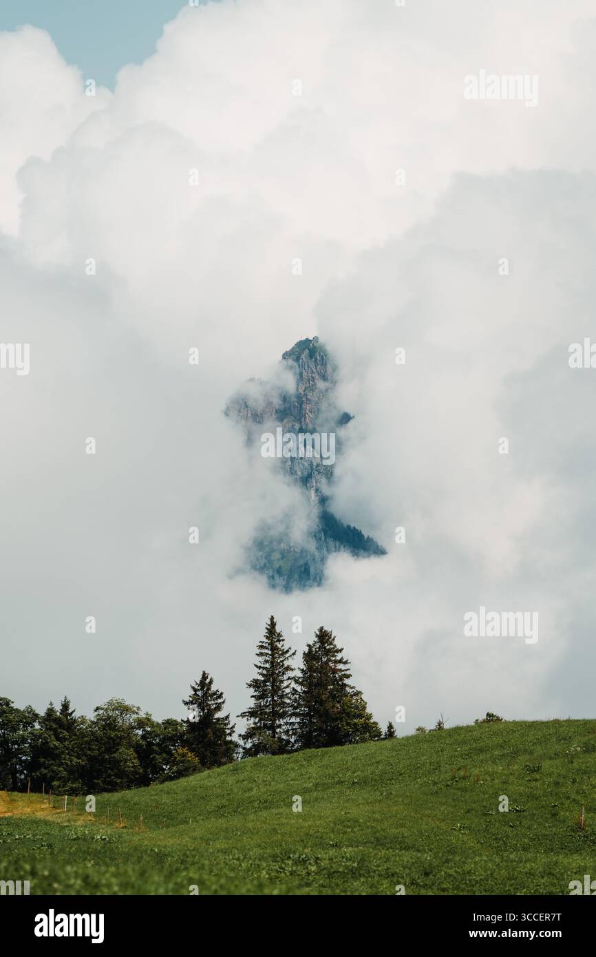 Cresta erbosa che scompare tra le nuvole, Stoos, Schwyz, Svizzera Foto Stock