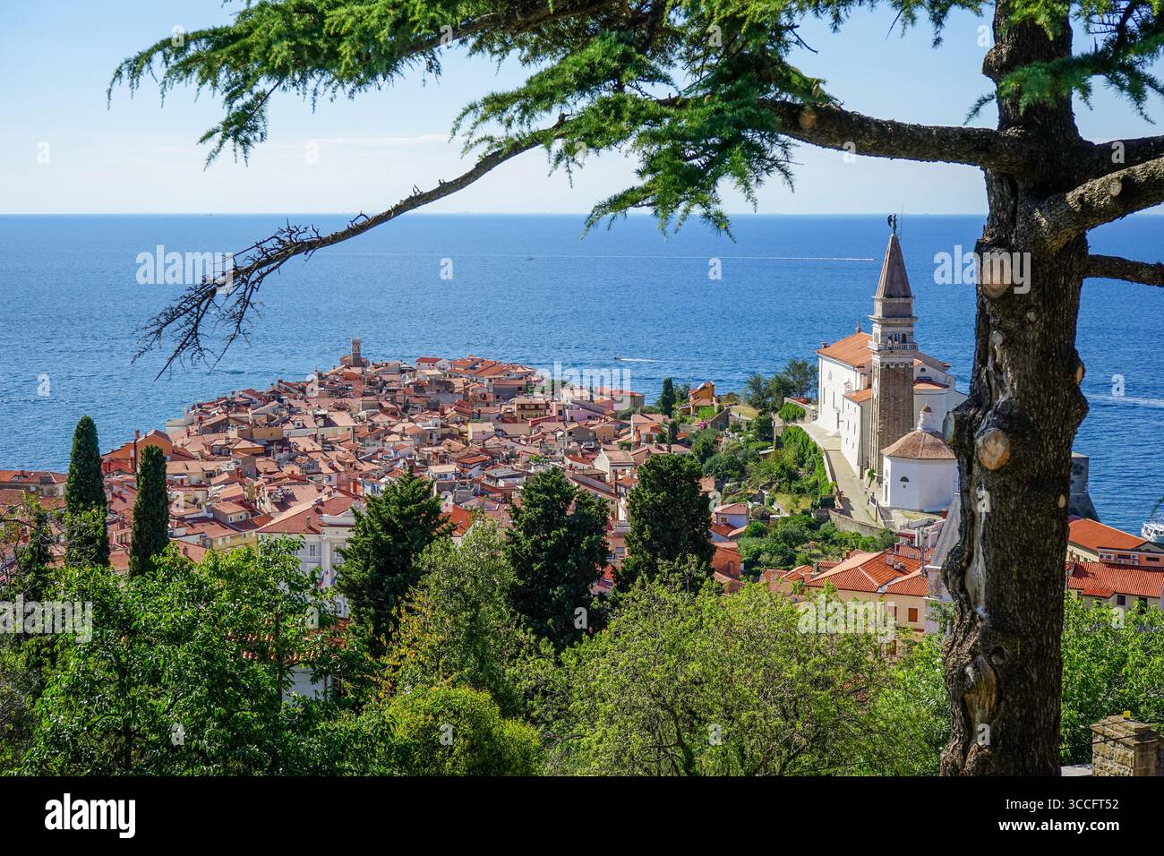 Vista panoramica dalle mura di Pirano, Slovenia Foto Stock