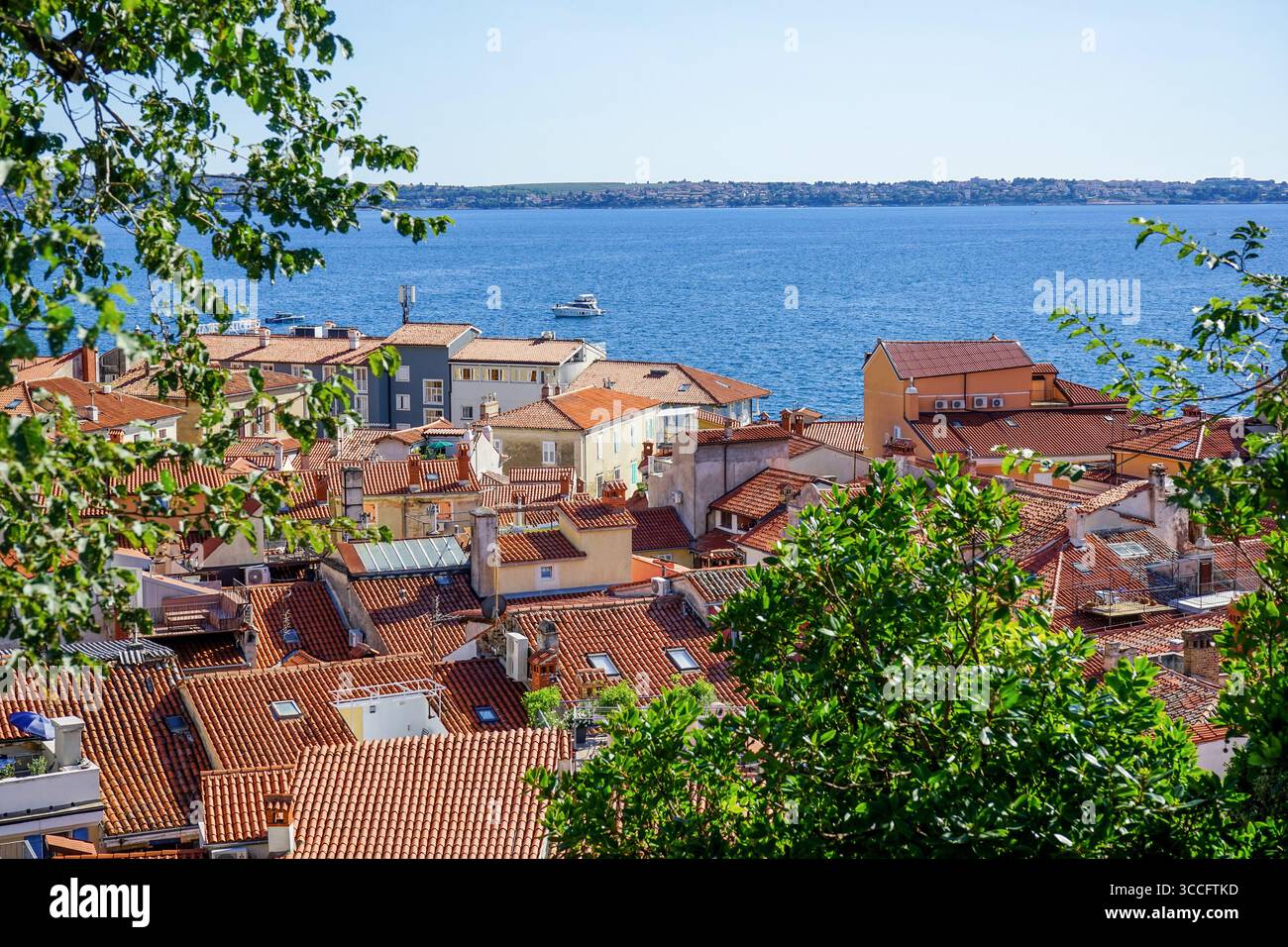 Tetti di Pirano, Slovenia Foto Stock