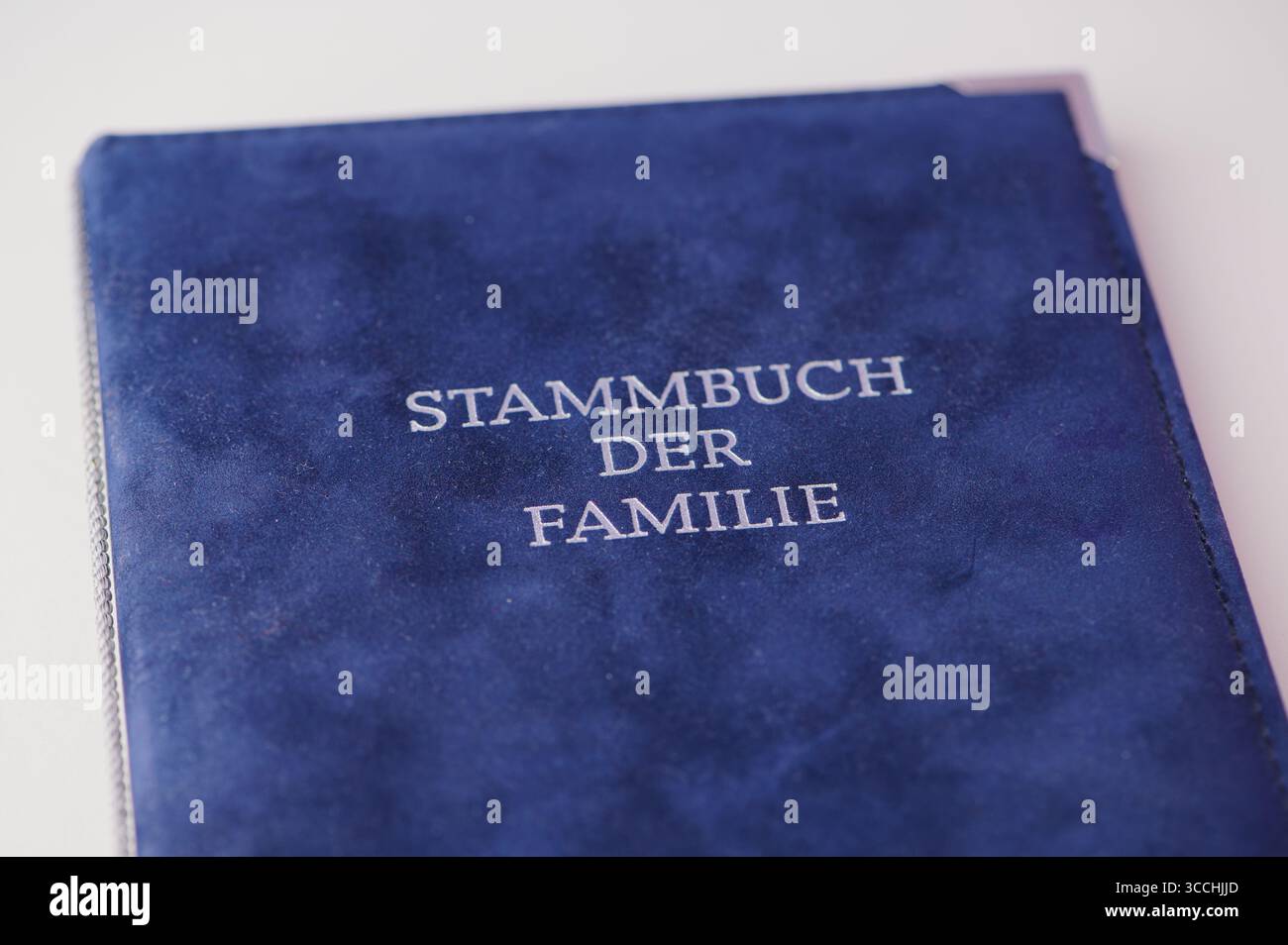 Un libro blu di registrazione genealogica mostra informazioni sulla famiglia e la storia. Foto Stock