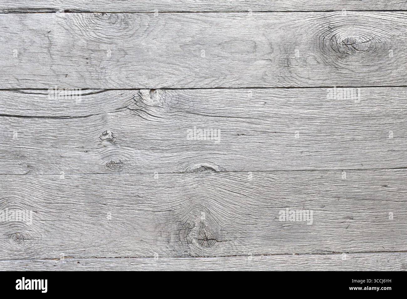 Tavole di legno temprato che mostrano trame e motivi intricati, ideali per sfondi o disegni a tema rustico. Foto Stock