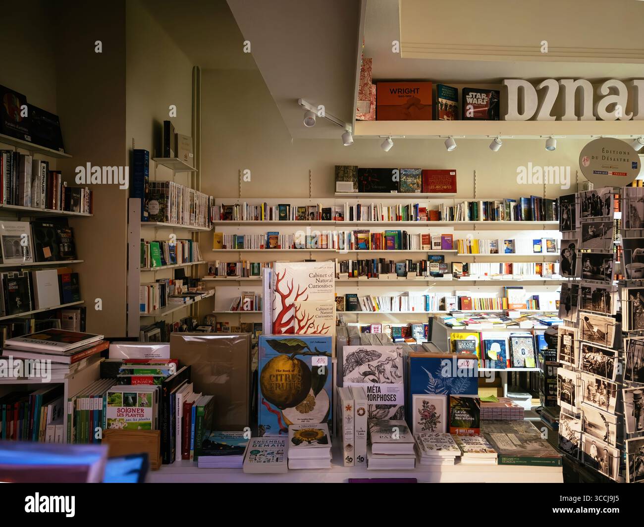 Strasburgo, Francia - 29 ottobre 2023: Accogliente libreria indipendente con scaffali di libri, copertine artistiche e articoli da regalo illuminati calorosamente nel tardo pomeriggio. Foto Stock