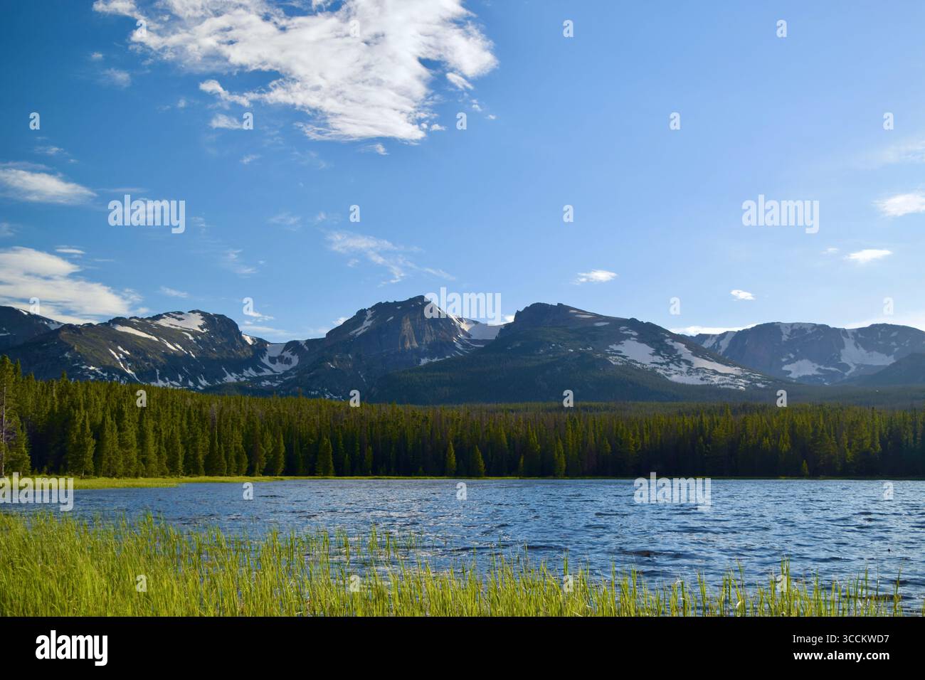Lago Bierstadt, Parco Nazionale delle Montagne Rocciose Foto Stock