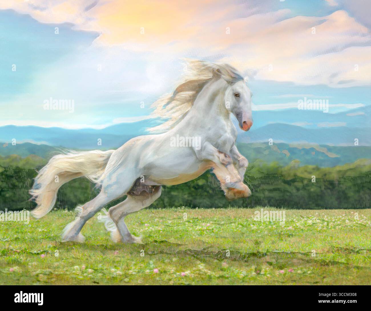Energico gitano Vanner Horse gelding sulla cima di una collina panoramica con nebbia e nuvole mattutine. Foto artistiche digitali stilizzate. Foto Stock