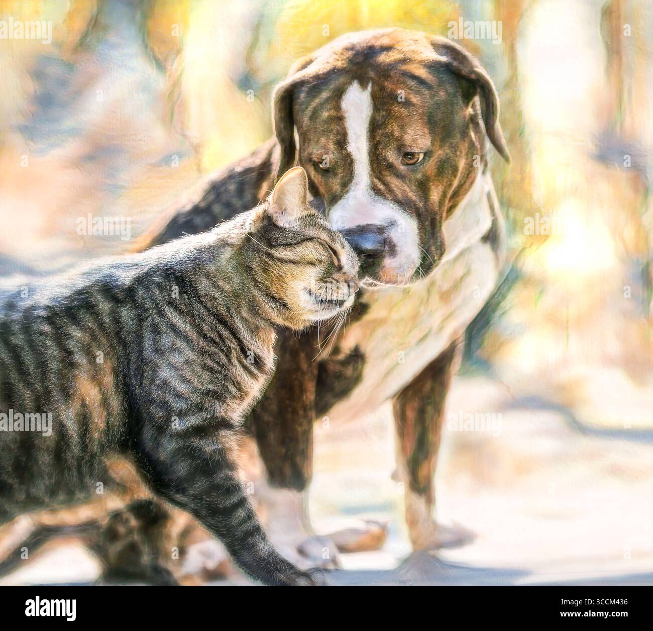 Adulto American Bull Dog e un amico gatto Tabbby. Foto artistiche digitali stilizzate. Foto Stock