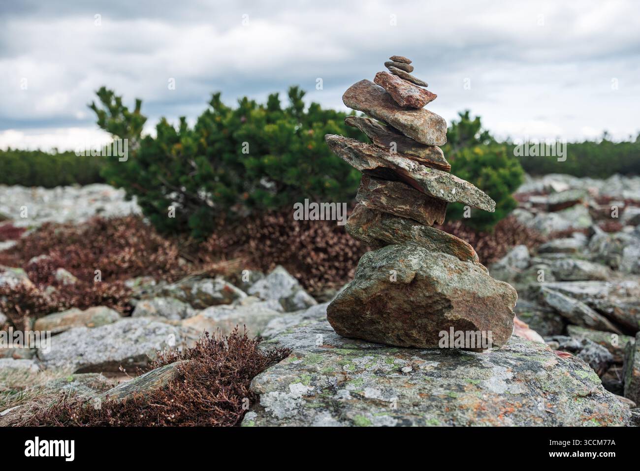 Pietre di roccia impilate in una piramide su uno sfondo di ginepro. Pietre di meditazione che simboleggiano lo spirito dello Zen. Foto di alta qualità Foto Stock