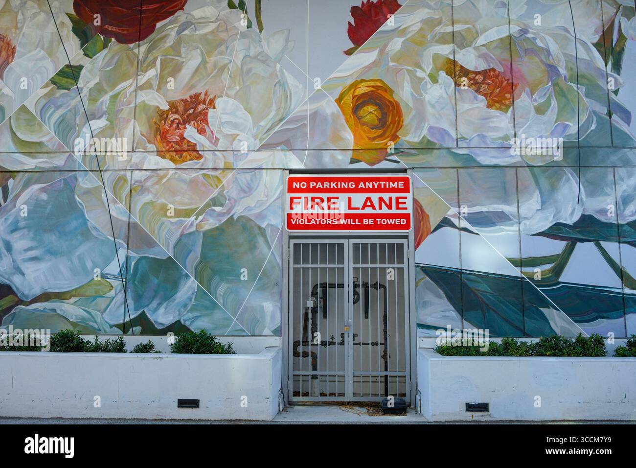 Un murale su una corsia antincendio nel River District, Vancouver, British Columbia. Foto Stock