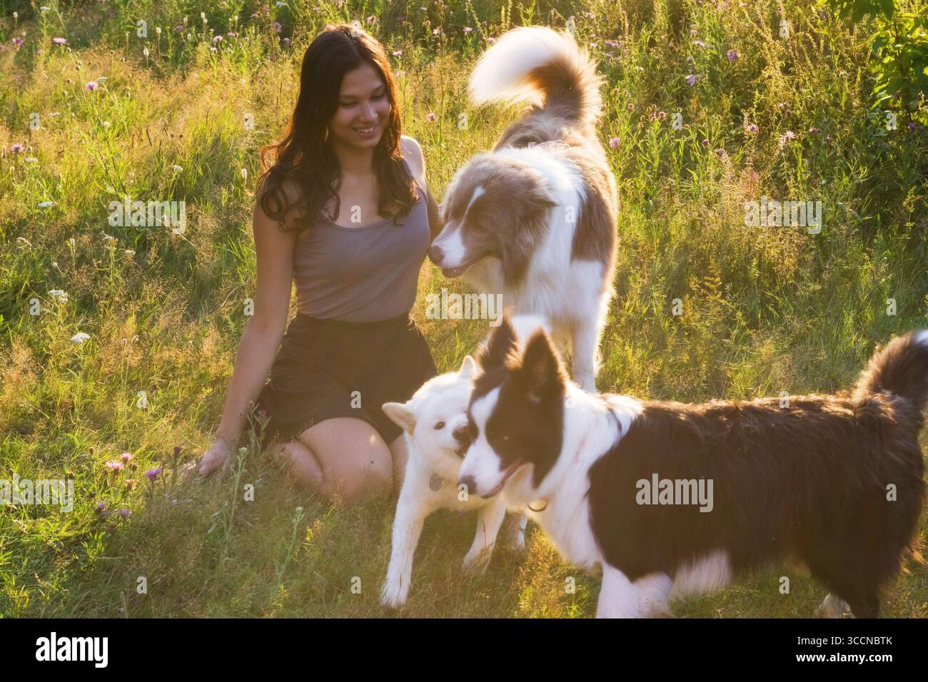 Donna indiana che gode di un prato soleggiato con due cani Border Collie, sorridente e attento. Perfetto per il servizio di babysitter, il servizio di passeggio per i cani e gli ospiti all'aperto Foto Stock