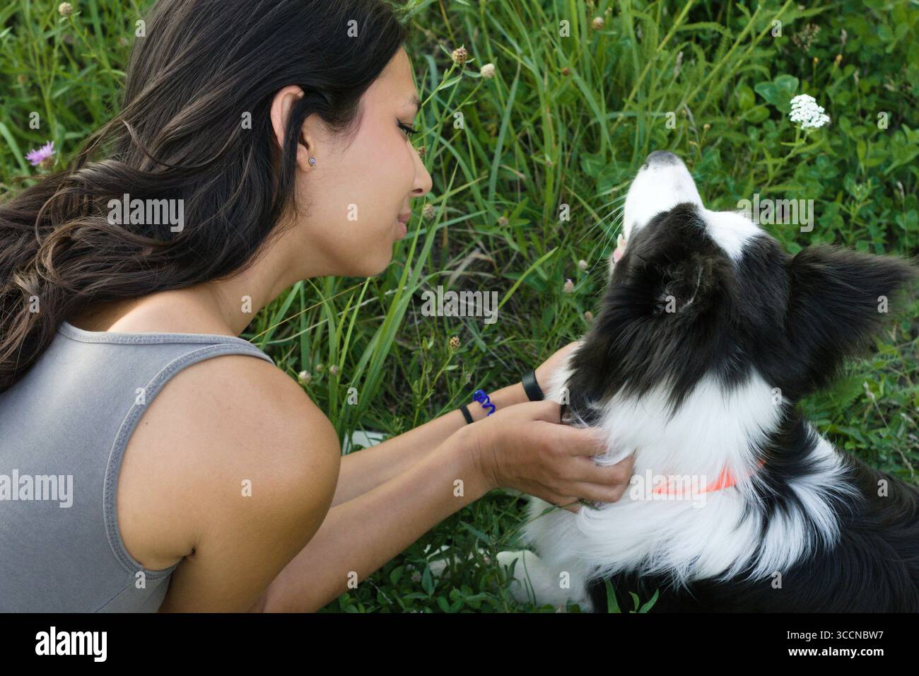 Donna indiana faccia a faccia con il suo cane Border Collie in un prato, condividendo un momento caldo in una giornata estiva di sole. Perfetto per la cura degli animali domestici, la camminata dei cani e. Foto Stock