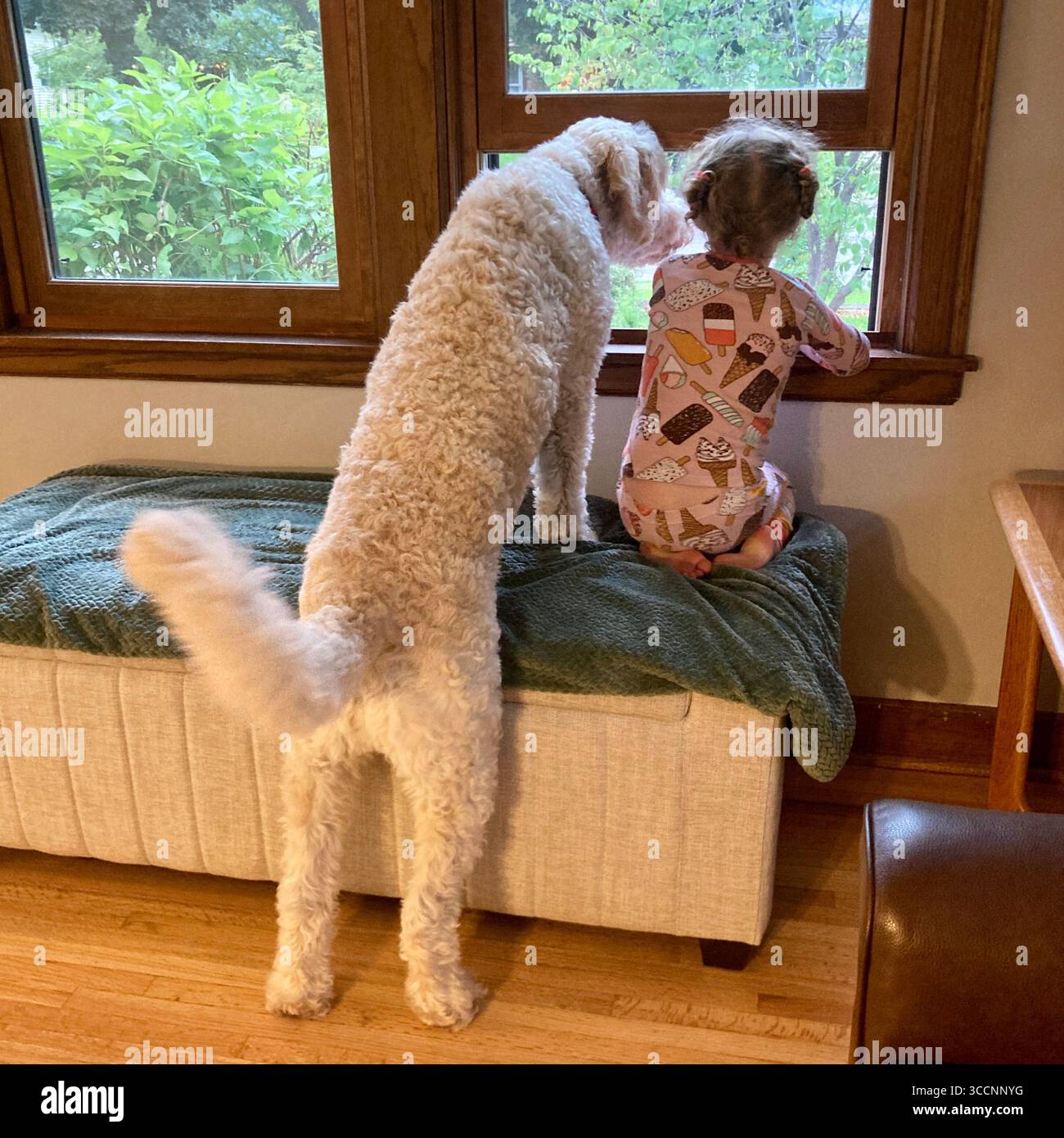 Un goldendoodle e un bambino yound guardano insieme fuori dalla finestra. Foto Stock