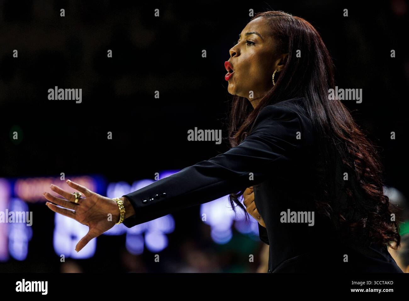15 novembre 2023: Niele Ivey, capo-allenatore di Notre Dame durante la partita di pallacanestro femminile NCAA tra i Northwestern Wildcats e i Notre Dame Fighting Irish al Purcell Pavilion al Joyce Center di South Bend, Indiana. Notre Dame sconfisse la Northwestern 110-52. John Mersits/CSM. (Immagine di credito: © John Mersits/CSM tramite ZUMA Press Wire) Foto Stock