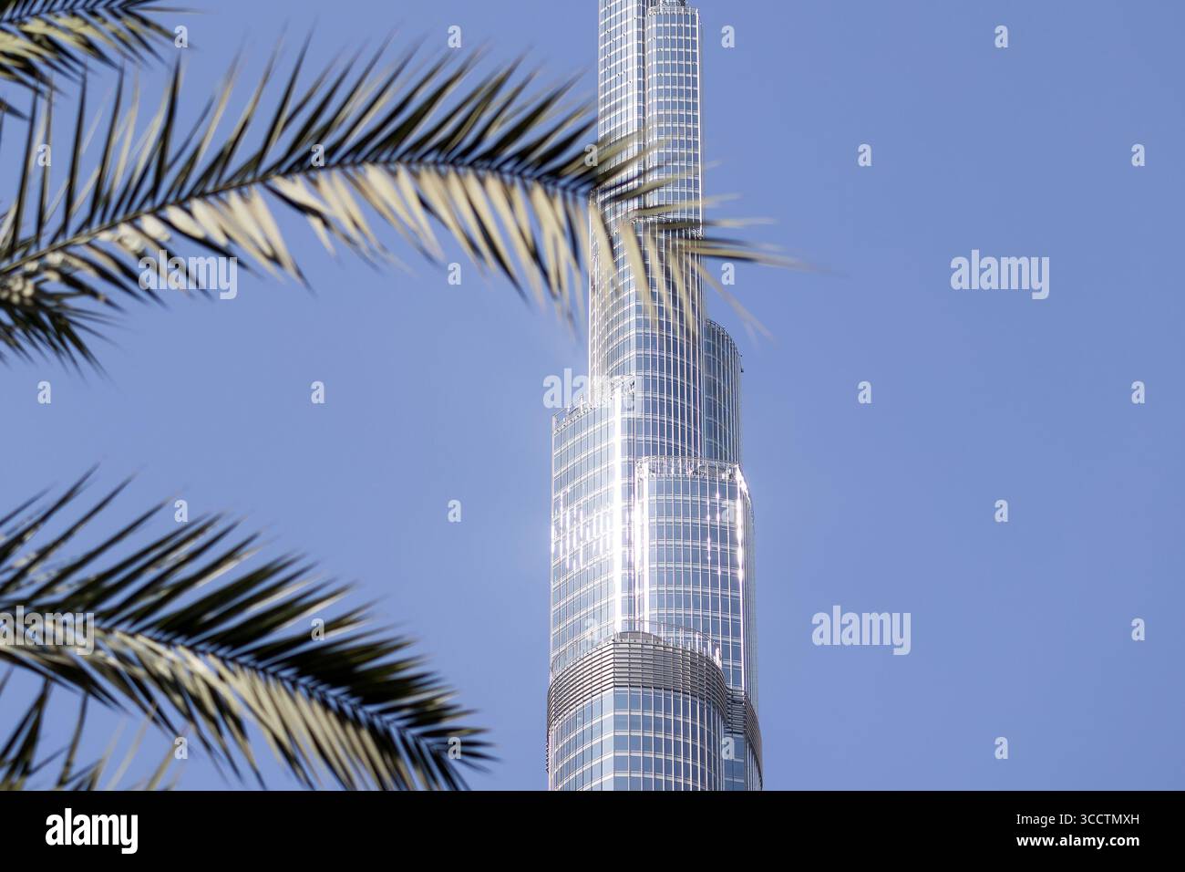 Palm Tree and Burj Khalifa è un grattacielo alto a Dubai, negli Emirati Arabi Uniti, l'edificio più alto e multipiano del mondo, nonché la strada più alta Foto Stock