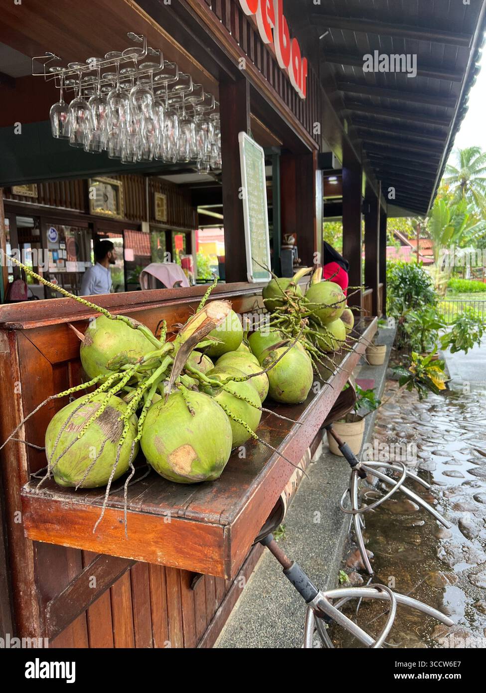 Fresche noci di cocco verdi in mostra in un bar locale a Langkawi, Malesia, che simboleggia il rinfresco tropicale e la cultura dell'isola. Foto Stock