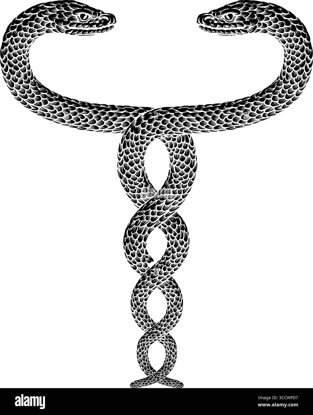 Snakes Two Intertwined Helix Vintage Illustration Illustrazione Vettoriale