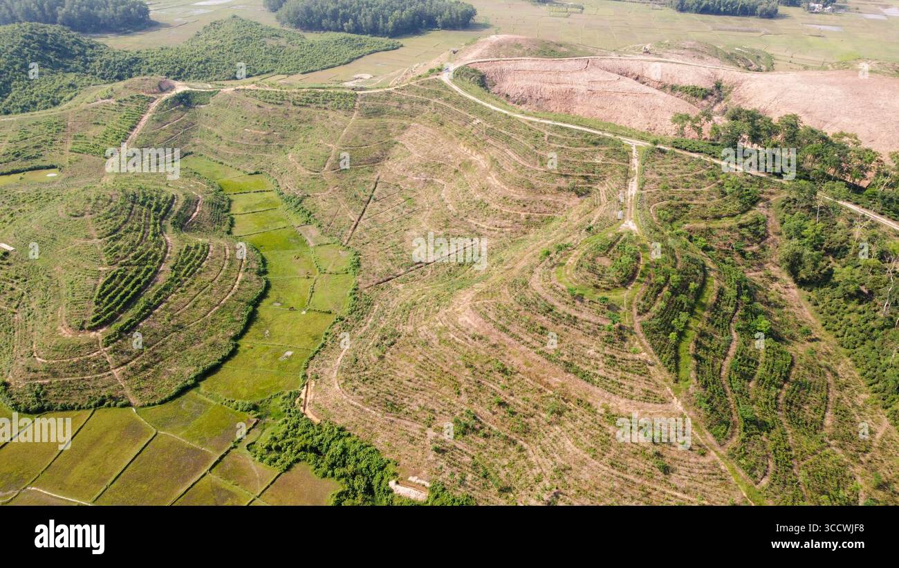 Vista sulla nuova area di piantagione del Tea Garden Birdseye Foto Stock