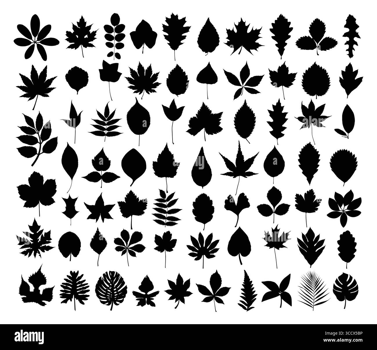 Un insieme di sagome foglie di alberi e arbusti. Illustrazione Vettoriale
