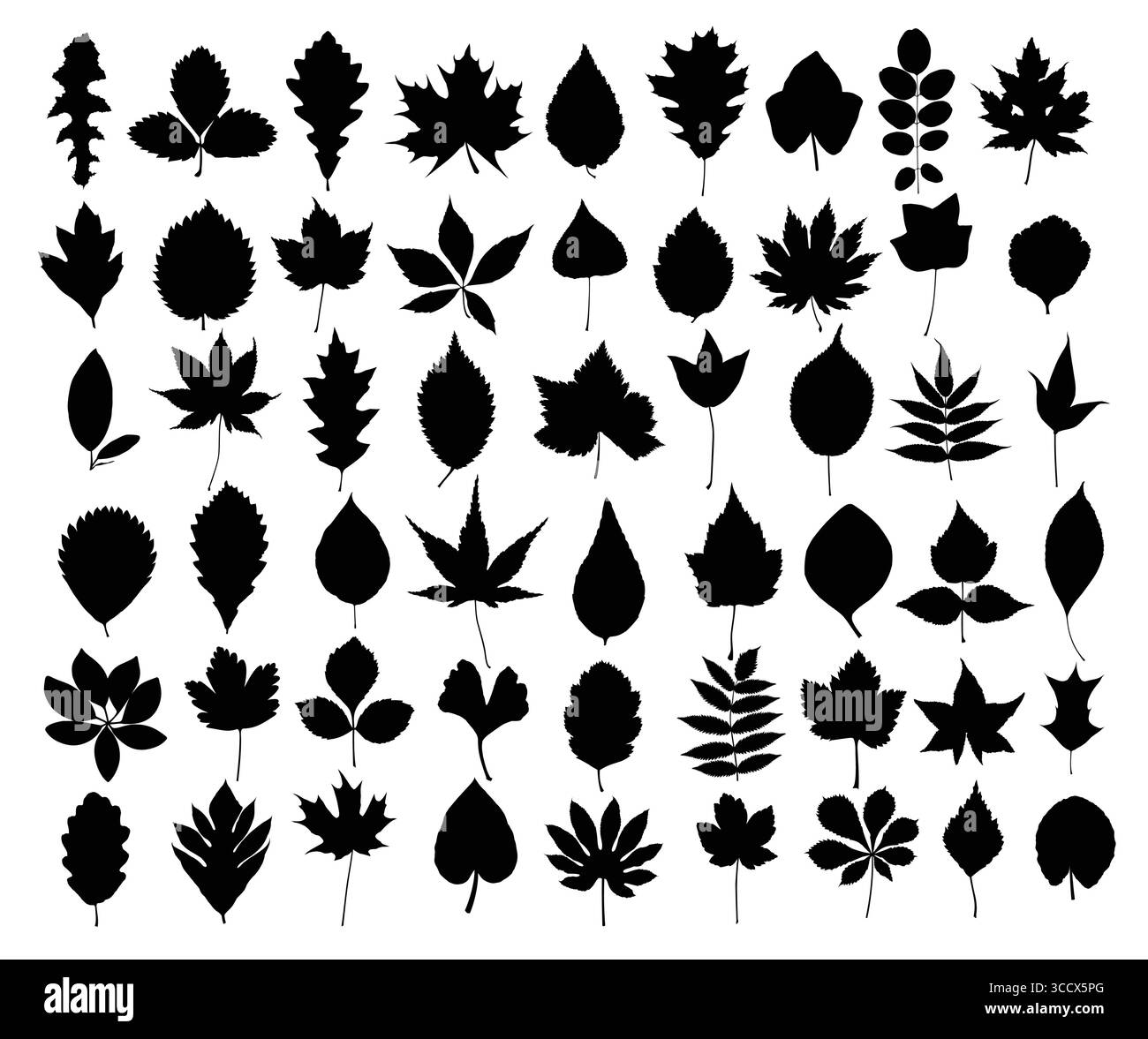 Un insieme di sagome foglie di alberi e arbusti. Illustrazione Vettoriale