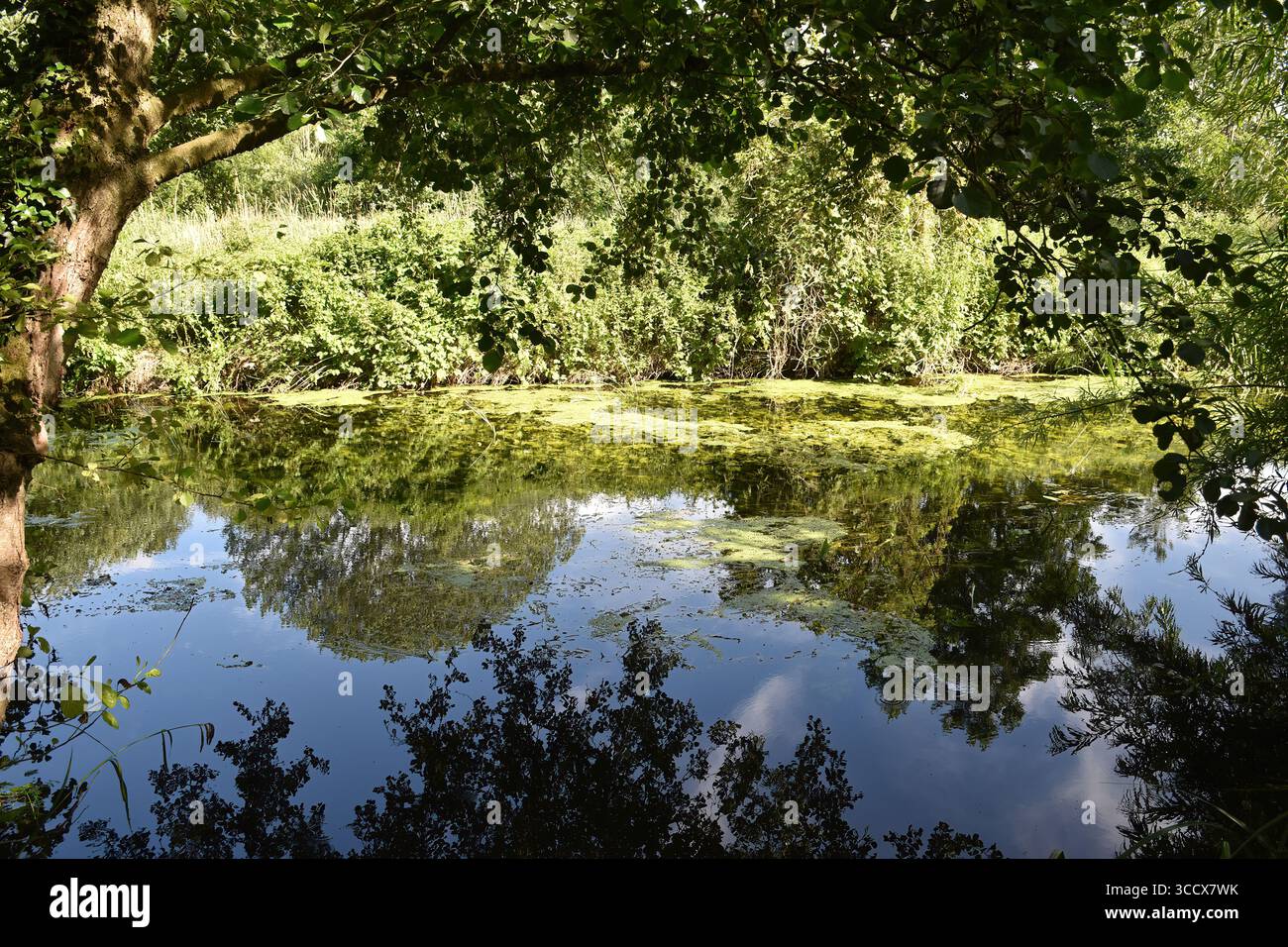 Sul sito di Norwich Caravan Foto Stock