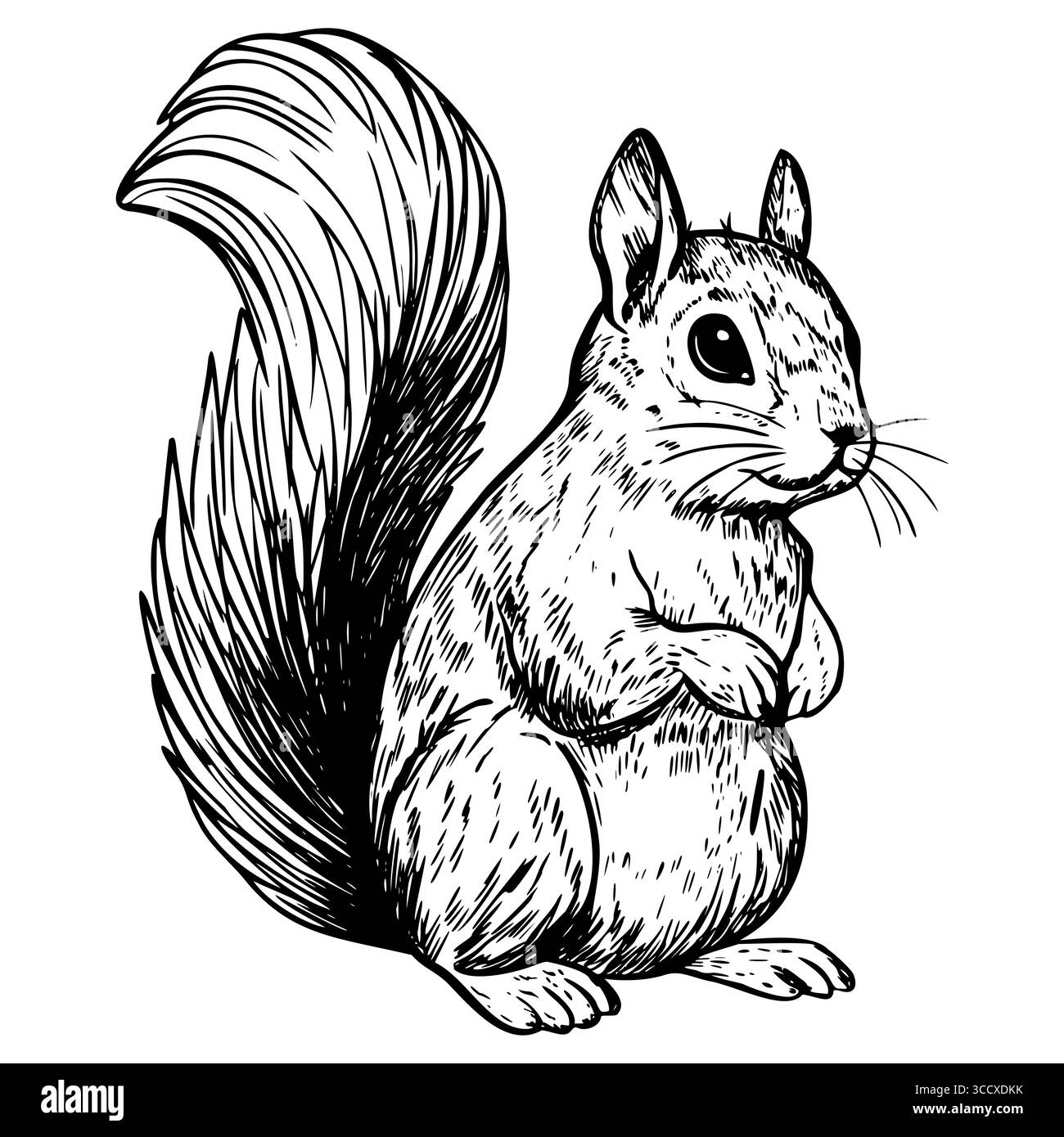 Un'illustrazione dettagliata di uno scoiattolo in piedi con una coda cespugliosa. Lo scoiattolo ha un corpo rotondo e grandi occhi, che mostrano la sua natura giocosa. Illustrazione Vettoriale