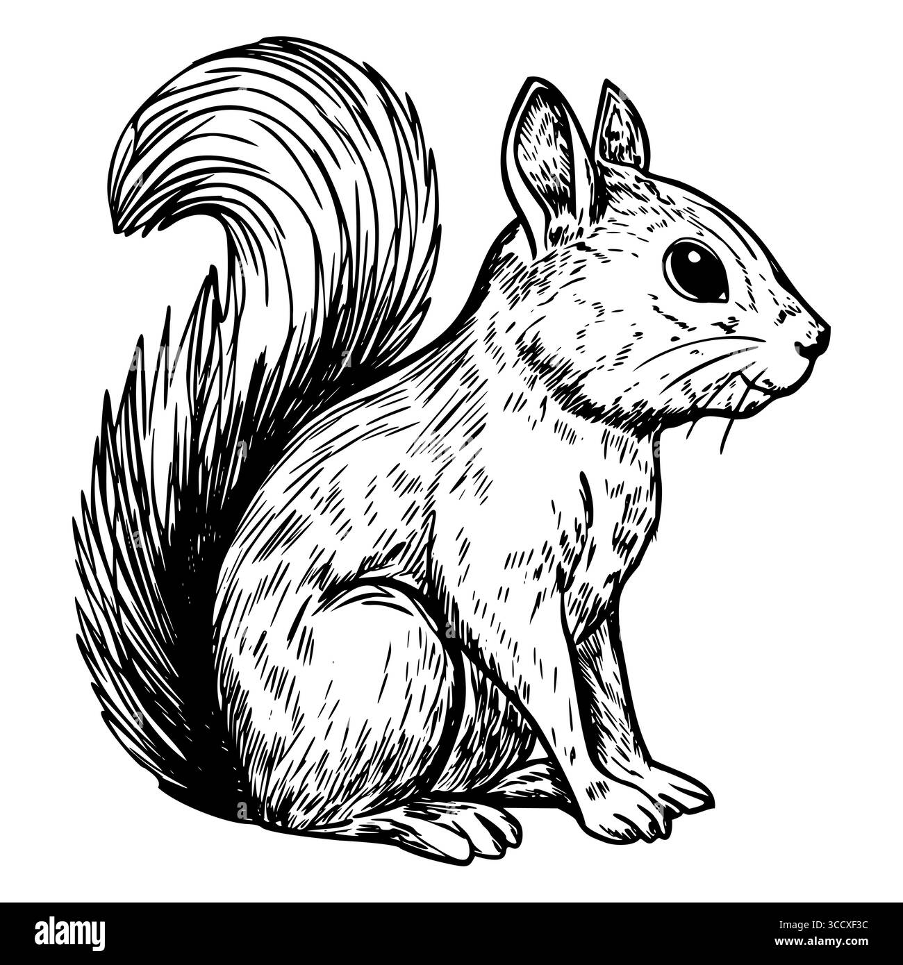 Un'illustrazione dettagliata di uno scoiattolo seduto con una coda cespugliosa. Lo scoiattolo ha grandi occhi e un morbido cappotto che ne mostra le caratteristiche naturali. Illustrazione Vettoriale
