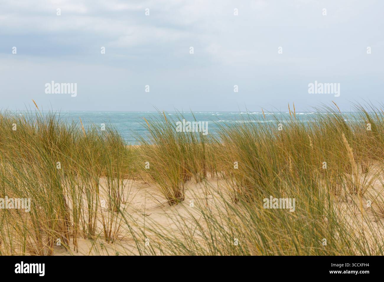 Vista attraverso l'erba delle dune presso l'Oceano Artlantico da Pointe du Cap Ferret Foto Stock