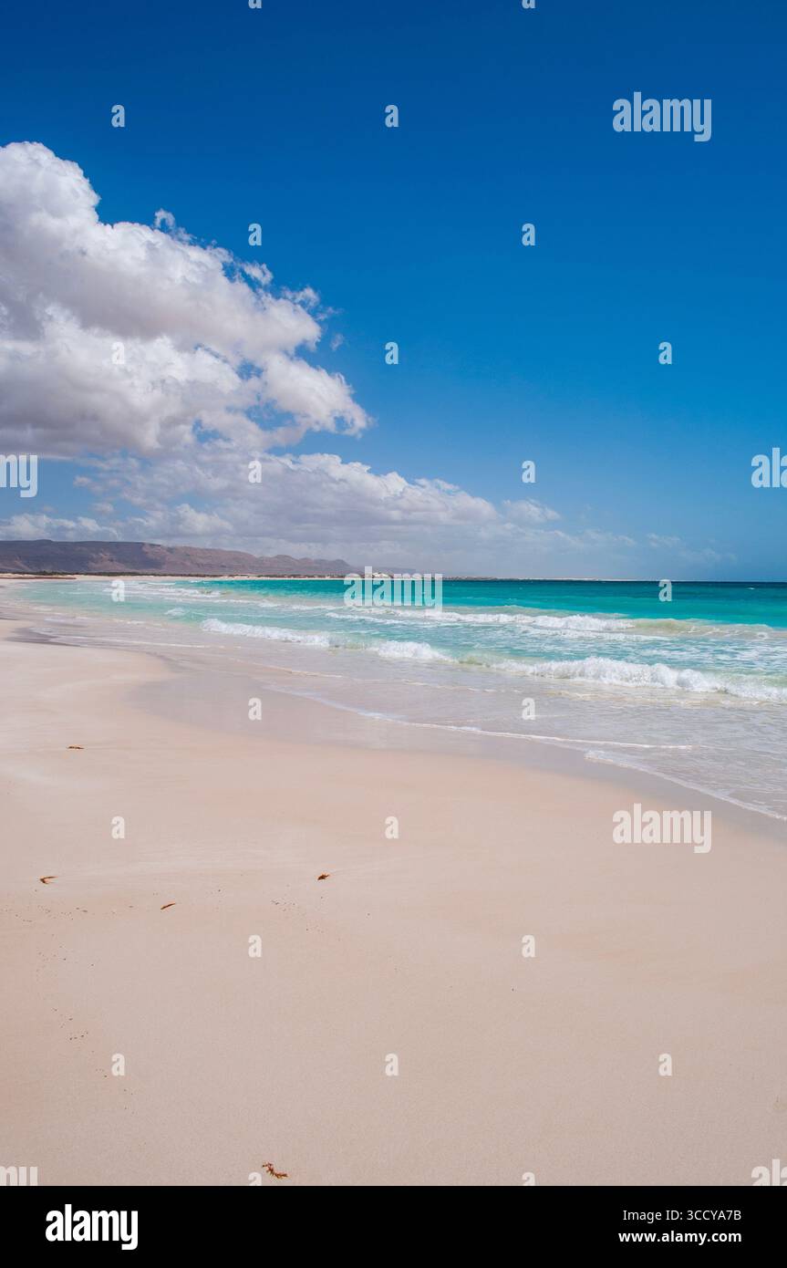 Socotra, Yemen: Vista mozzafiato e panoramica dell'area protetta della spiaggia di Aomak sull'isola, sede di un elevato numero di specie endemiche Foto Stock