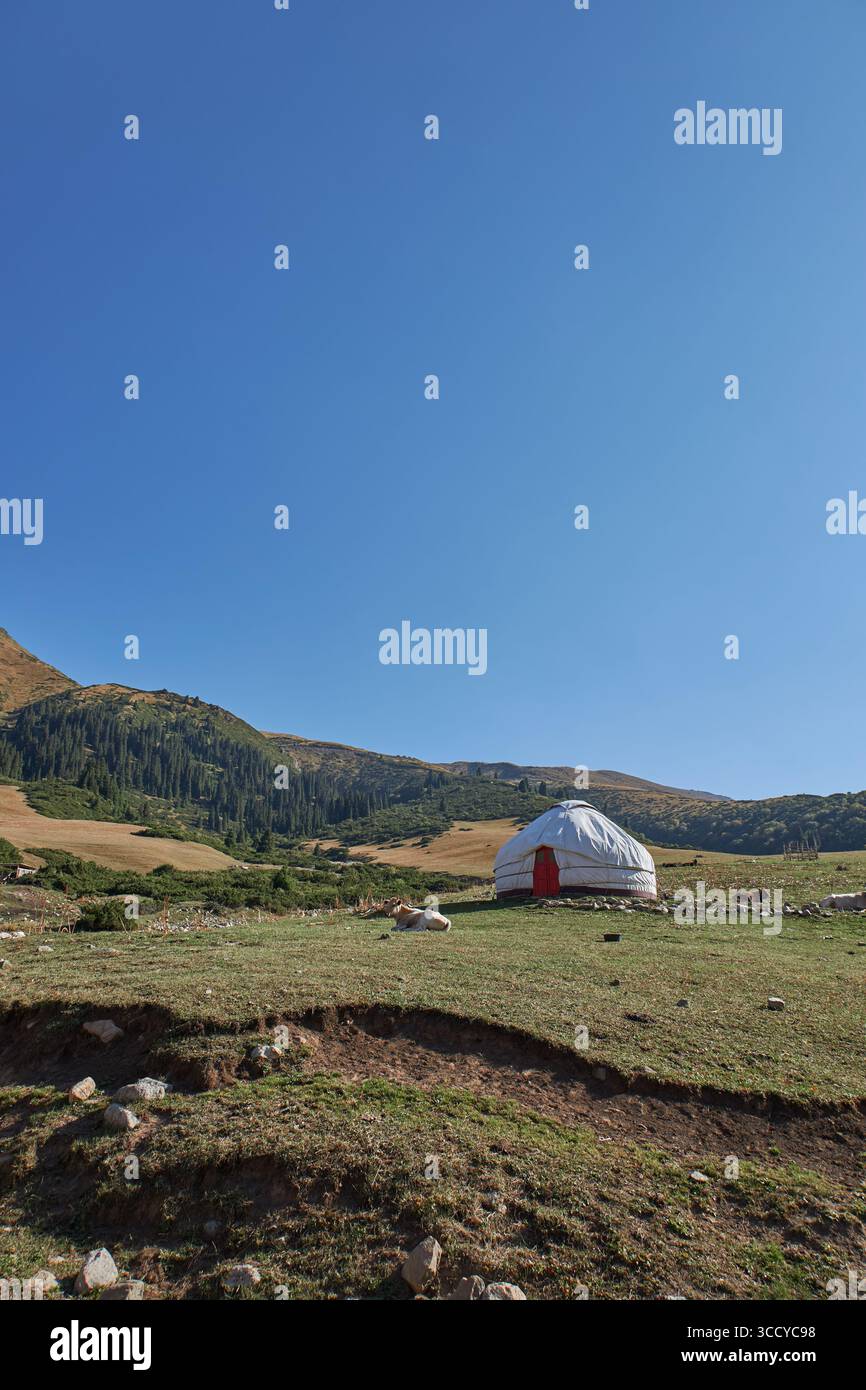 Casa di pastori in un luogo pittoresco. Paesaggio montano, colline con erba gialla e verde. Pascolo locale per pascolo libero. Cielo blu chiaro. Calv Foto Stock