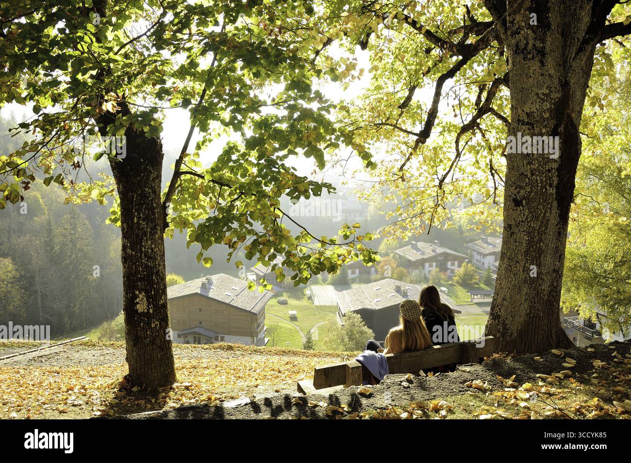 FRANCIA, ALVERNIA RODANO ALPES, ALTA SAVOIA (74) MONTE BIANCO, MEGEVE, IL CAMMINO CHEMIN DU CALVAIRE IN AUTUNNO Foto Stock