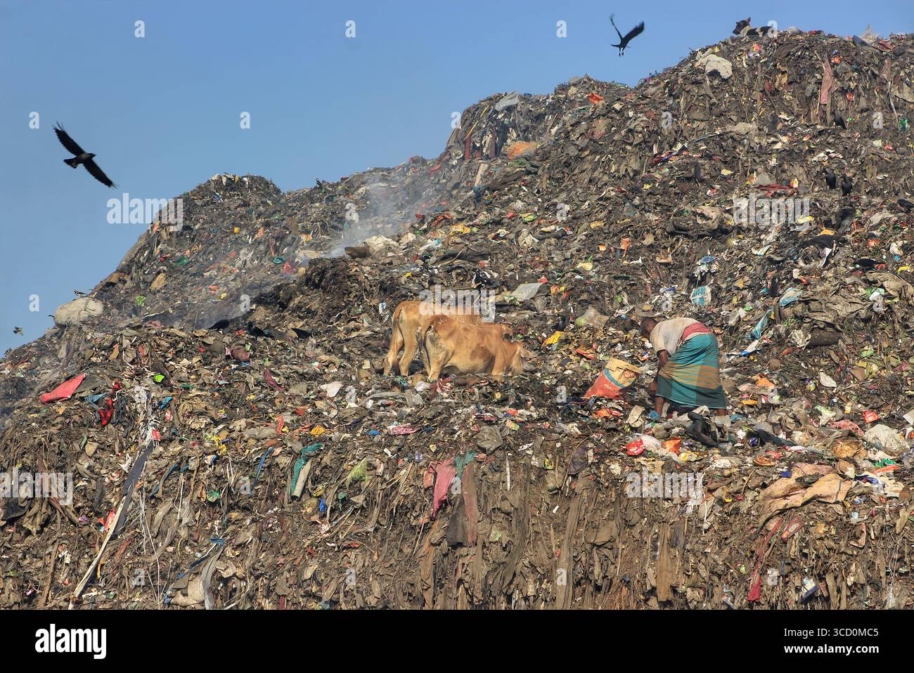 Chattogram, Bangladesh - 15 febbraio 2018: Veduta di una vasta discarica strutturata dove le mucche pascolano tra gli oggetti scartati e una donna scavata, sotto un cielo azzurro e limpido punteggiato di uccelli che girano intorno. Foto Stock