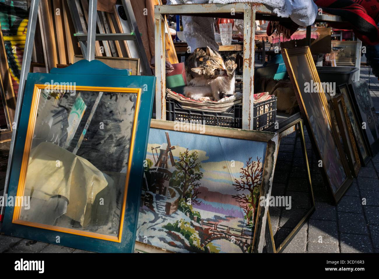Un gatto nel mercato delle pulci, Piazza Abissinia, Atene, Grecia Foto Stock