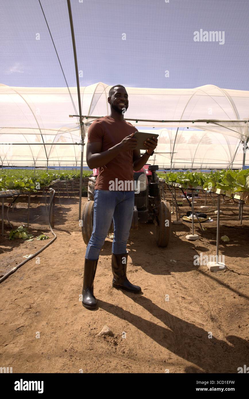Uomo afroamericano in piedi in una casa di hoophouse che tiene un tablet, ispeziona i letti vicino al trattore rosso Foto Stock Uomo afroamericano in piedi in una casa di hoophouse che tiene un tablet, ispeziona i letti vicino al trattore rosso Foto Stock