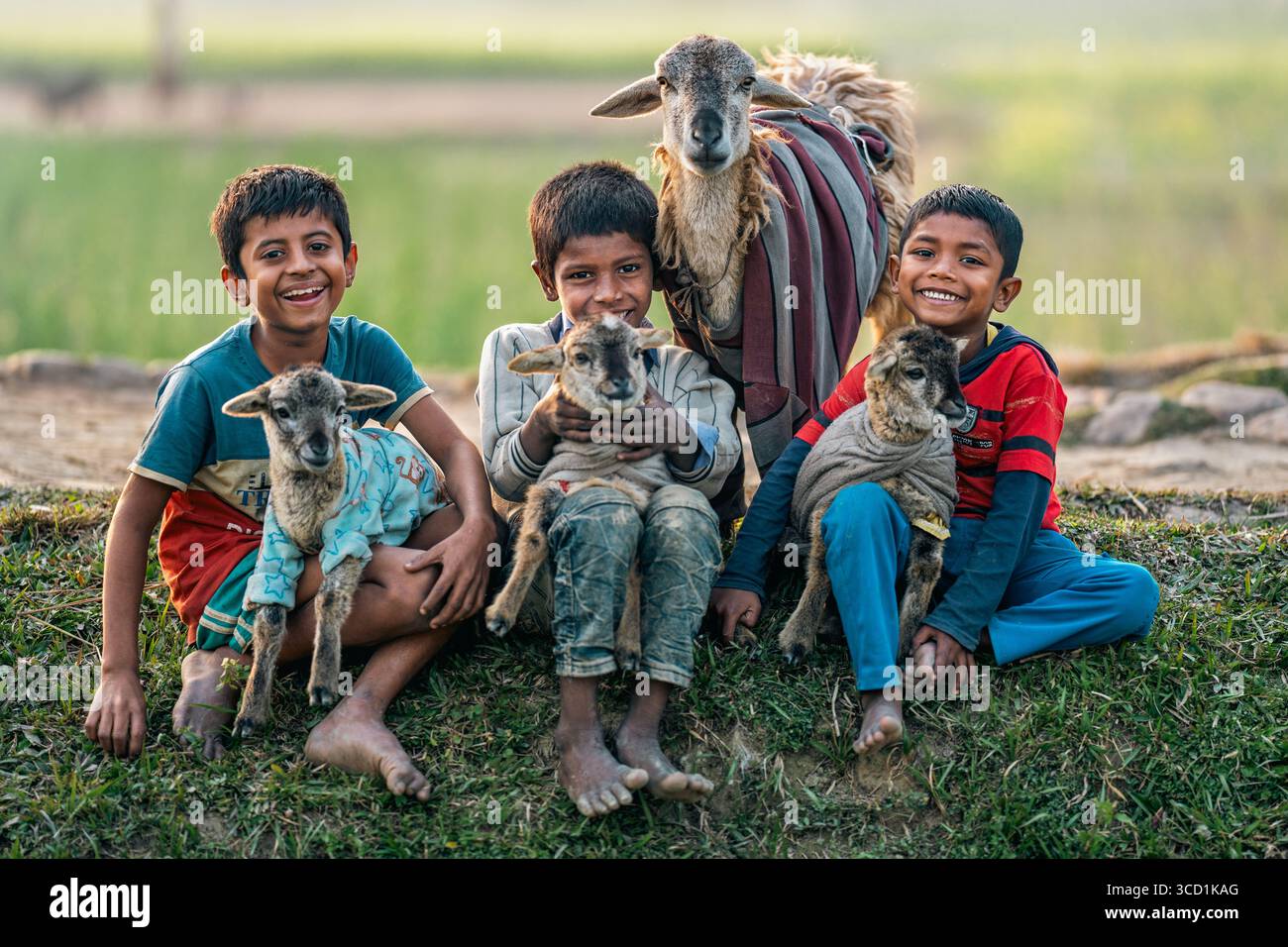 Bogura, Bangladesh - 06 gennaio 2023: Si dispiega la vista dei bambini che emettono i loro agnelli tra la luce soffusa del mattino, un arazzo di gioia giovanile e fascino rurale. Foto Stock