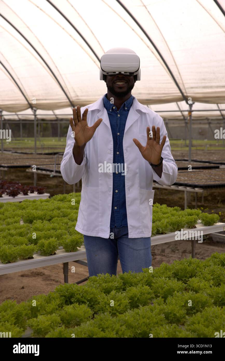 Visore VR che visualizza i dati olografici sopra i banchi di lattuga idroponica all'interno della serra Foto Stock