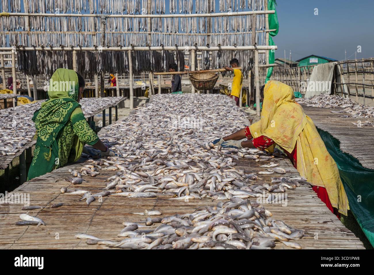 Cox's Bazar, Bangladesh - 29 novembre 2022: Vista delle donne che selezionano pesci secchi su piattaforme di legno intemperie sotto un cielo luminoso, contrastando le consistenze dei pesci con i vestiti colorati delle donne. Foto Stock