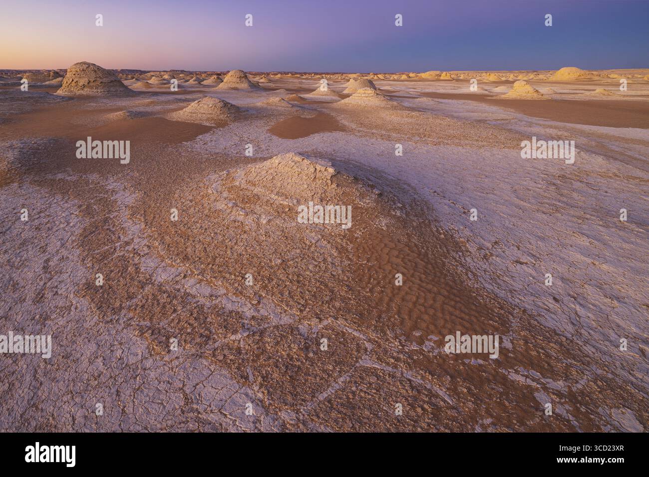 Vista delle formazioni rocciose di gesso bianco sparse attraverso il paesaggio desertico sotto un cielo morbido e pastello, Bawiti, Governatorato di Giza, Egitto. Foto Stock