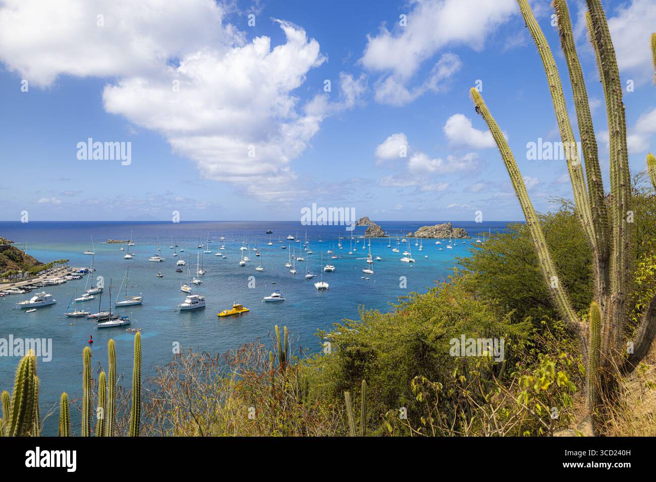 Vista delle acque turchesi punteggiate di yacht, contrastate da una vibrante vegetazione verde e cactus sotto un cielo blu brillante con soffici nuvole, Gustavia, Foto Stock