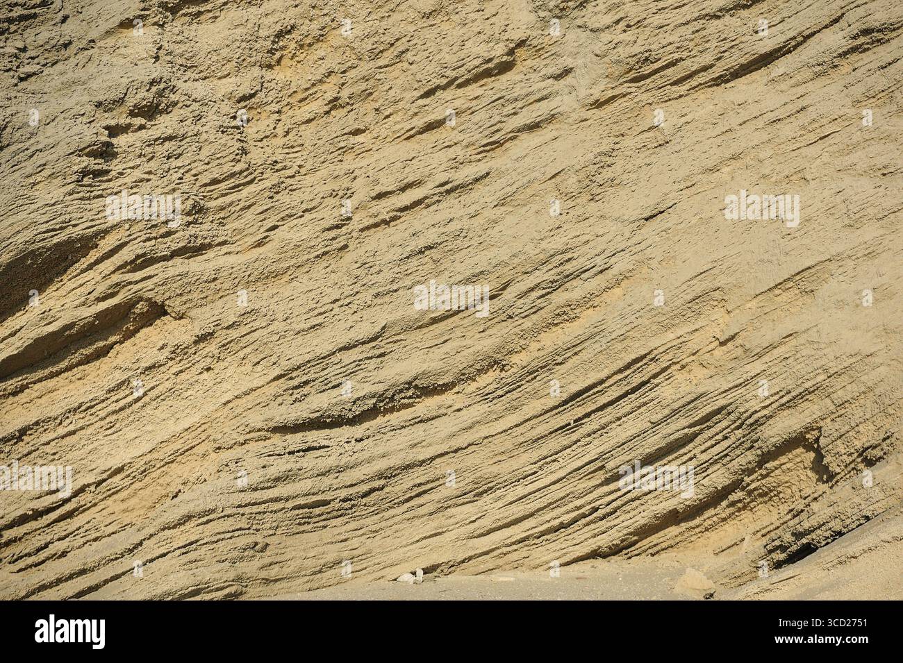 Consistenza porosa della pietra arenaria in riva al mare Foto Stock