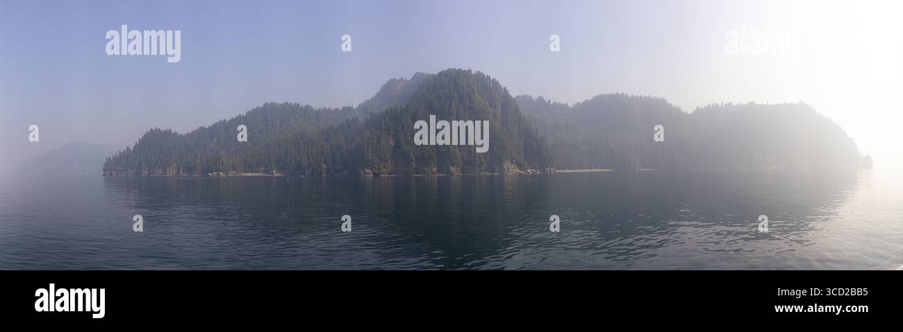 Vista delle foreste sempreverdi sorgono dalla costa rocciosa, avvolta da una foschia nebbiosa sopra le acque cristalline e riflettenti della Baia di Aialik, Kenai Fjords National p Foto Stock