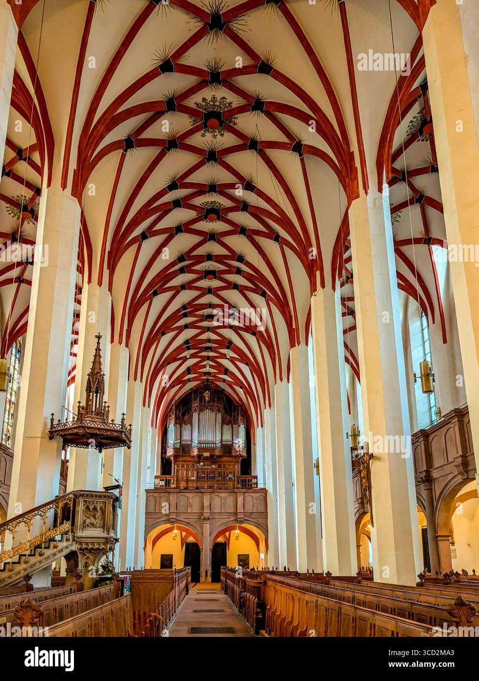 Soffitto e interno della chiesa di San Tommaso a Lipsia, un'importante chiesa protestante-luterana. Luogo di lavoro e sepoltura di Johann Sebastian Bach. Foto Stock