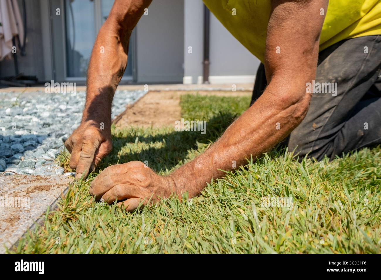 Primo piano di un giardiniere che installa l'erba erbosa a mano, allineando i bordi vicino alla pavimentazione in pietra. Concetto di architettura paesaggistica, lavoro, precisione e miglioramento della casa Foto Stock