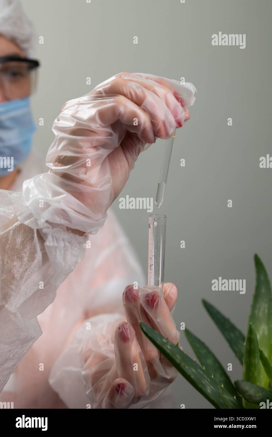 Un ricercatore di dispositivi di protezione conduce uno studio sull'aloe vera. Utilizzano con cura un contagocce per estrarre una sostanza dalla pianta di aloe in laboratorio, esplorando potenziali applicazioni. Foto Stock
